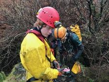 Thumbnail of photo from this article